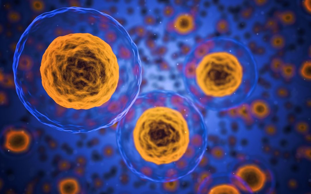 Reprotoxique : dangers et mesures de sécurité réglementaires